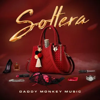 Soltera by Daddy Monkey Music