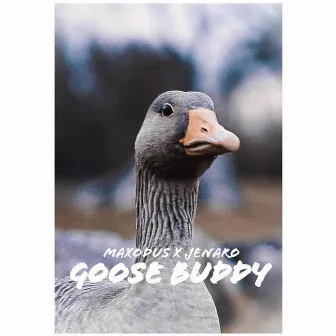 Goose Buddy by Maxodus