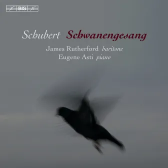 Schwanengesang by James Rutherford