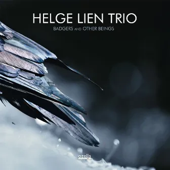 Badgers and Other Beings by Helge Lien Trio