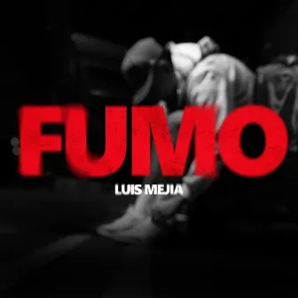 Fumo by Luis Mejía