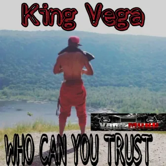 Who Can You Trust by Vega Villin