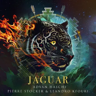 Jaguar by Pierre Stocker