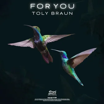 For You by Toly Braun