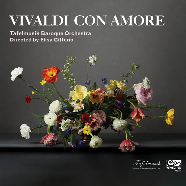 Concerto for 2 Violins, 2 Oboes & Bassoon in D Major, RV 564a: III. Allegro