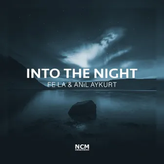 Into The Night by Anıl Aykurt