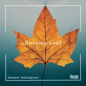 Dancing Leaf by Hamed Habibpour