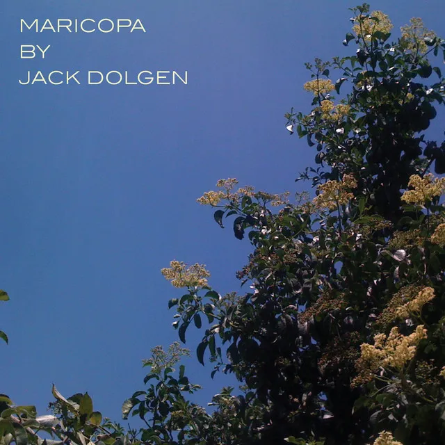 Jack Dolgen