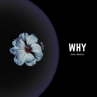 Why by PMC Media