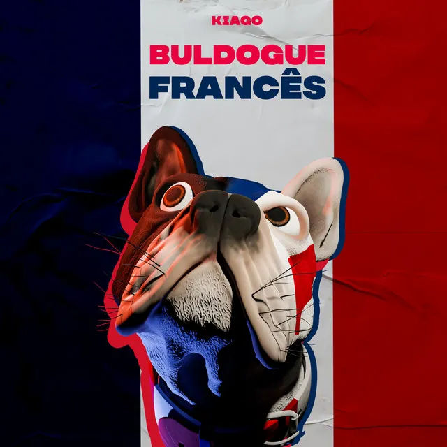 Buldogue Francês