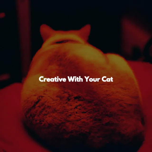 Creative With Your Cat