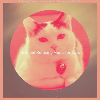 Pulsating Guitars and Mandolin - Background for Cats by Brilliant Relaxing Music for Cats