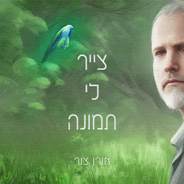 צייר לי תמונה