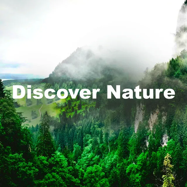 Discover Nature