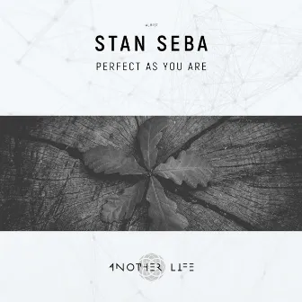 Deep Focus by Stan Seba