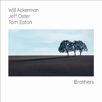 Brothers by Will Ackerman