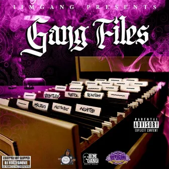 Gang Files (ChopNotSlop Remix) by Mr.380