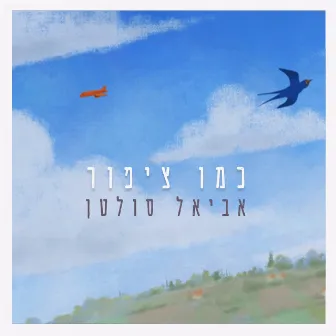 כמו ציפור by Aviel Sultan