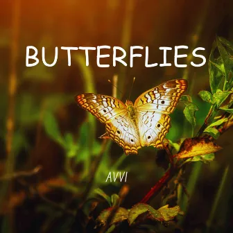 BUTTERFLIES by AVVI