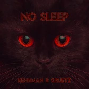 No Sleep by Gruetz