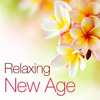 Relaxing New Age: Soothing New Age Vibes for Reiki, Meditation, Spa and Wellness Centers by Winter Solstice