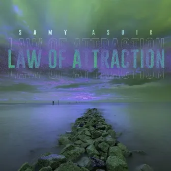 Law Of Attraction by Samy Asuik