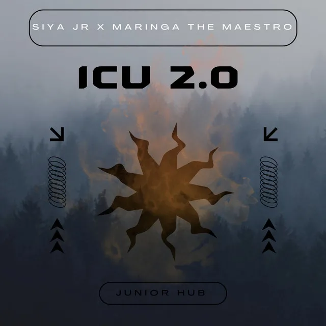 Icu 2.0