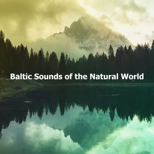 Baltic Sounds of the Natural World