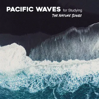 Pacific Waves for Studying by Unknown Artist