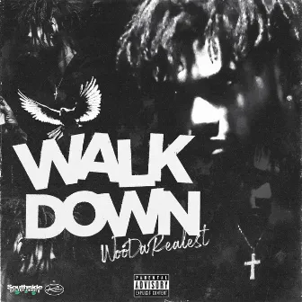 Walk Down by WooDaRealest