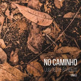 No Caminho by Luís Felipe Barbedo