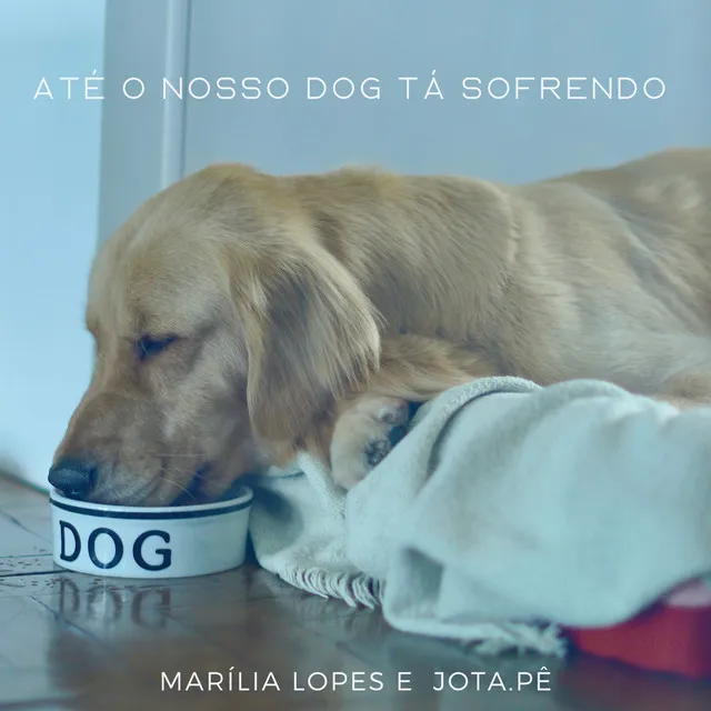 Até o Nosso Dog Tá Sofrendo (Volta)