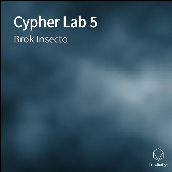 Cypher Lab #5 by Brok Insecto