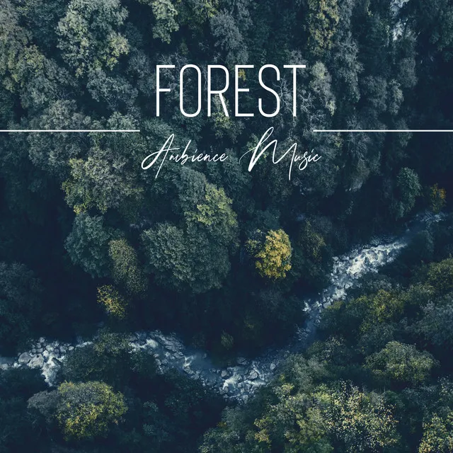 Forest Ambience Music