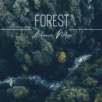 Forest Ambience Music by Deep Forestland