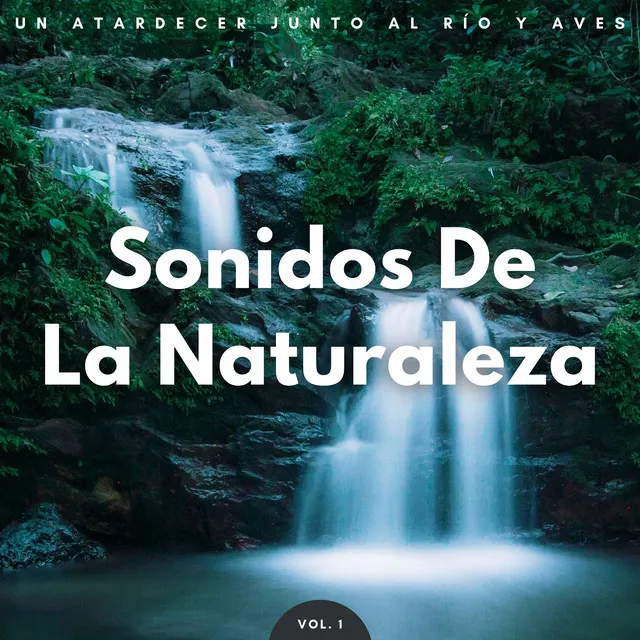 Sonidos De La Naturaleza: Un Atardecer Junto Al Río Y Aves Vol. 1