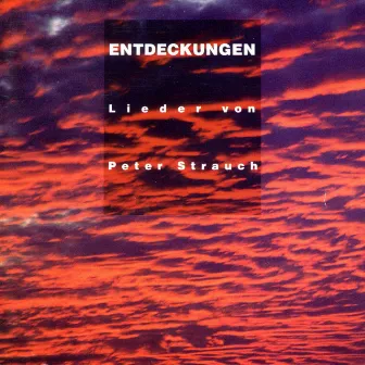 Entdeckungen by Peter Strauch