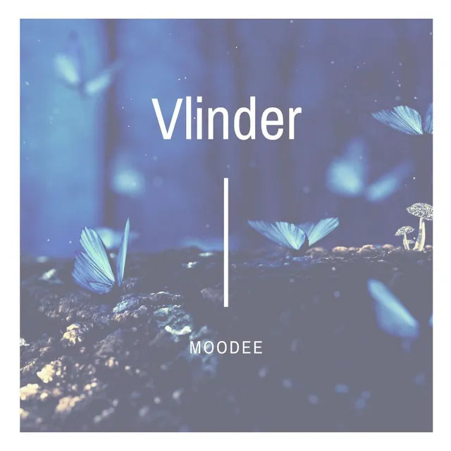 Vlinder