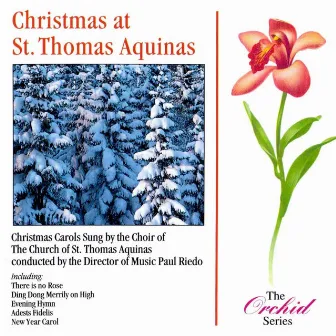 Christmas At St. Thomas Aquinas by Peter Mathews