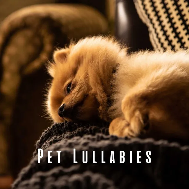 Pet Lullabies: Gentle and Chill Music