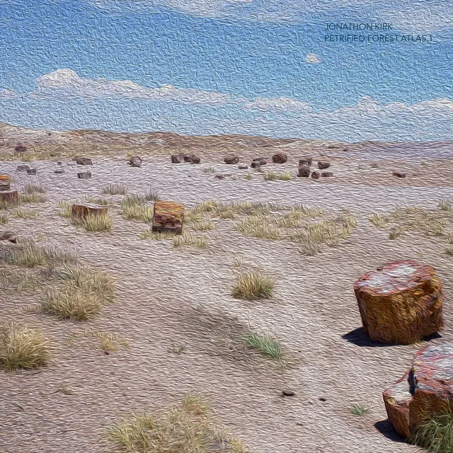 Petrified Forest National Park, Underground Ants Rhythm, October 9:29AM