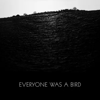 Everyone Was a Bird by Grasscut