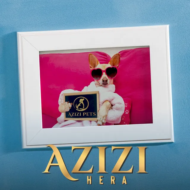 Azizi - Azizi Pets Official Soundtrack