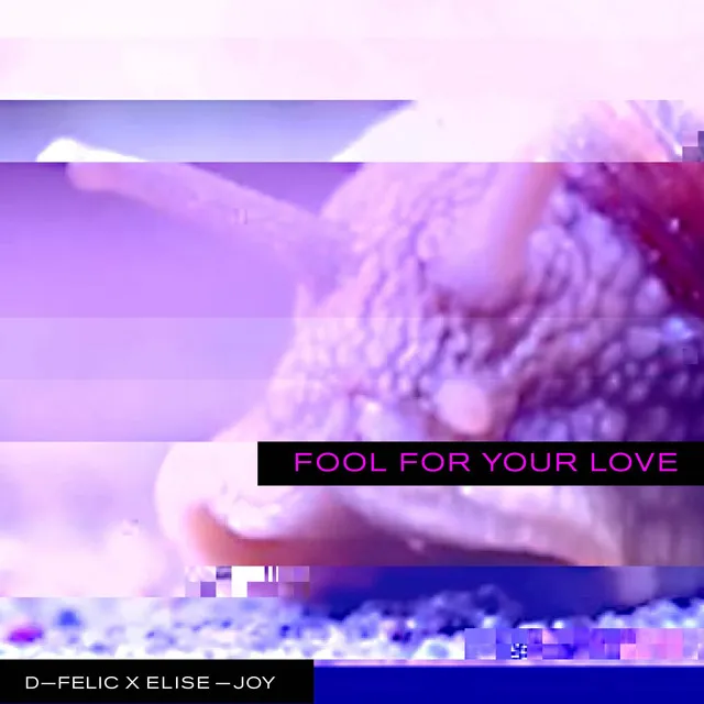 Fool for Your Love