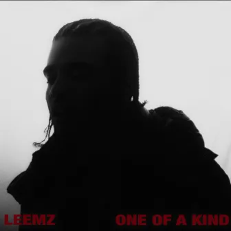 One of a Kind by Leemz