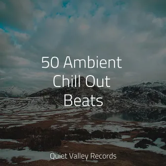 50 Ambient Chill Out Beats by Chakra Meditation Universe