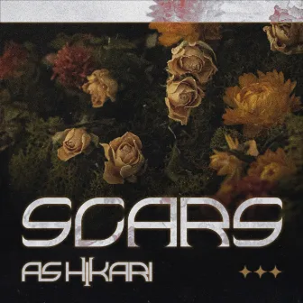 Scars by As Hikari