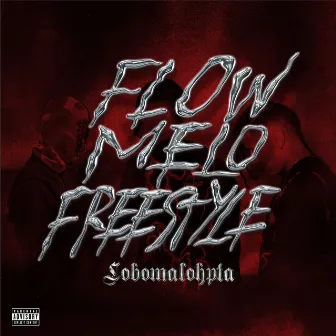 Flow Melo (Freestyle) by LoboMaloHpta