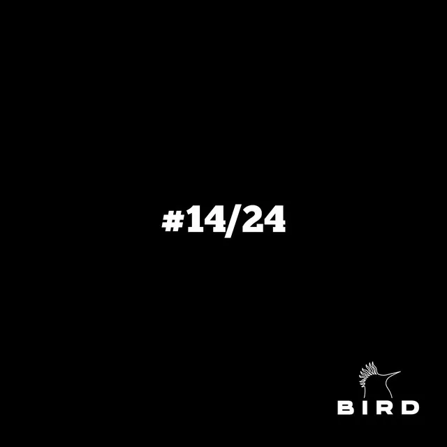 ¡HEY BIRD QUIERO ESE BEAT! #14