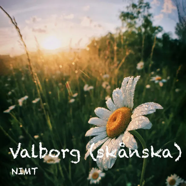 Valborg - skånska